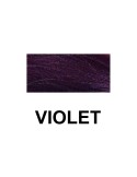 Alterego Passion Mascarilla Color Violeta 250ML