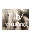 X-Pression T1B/Mattegray (T1B/101)